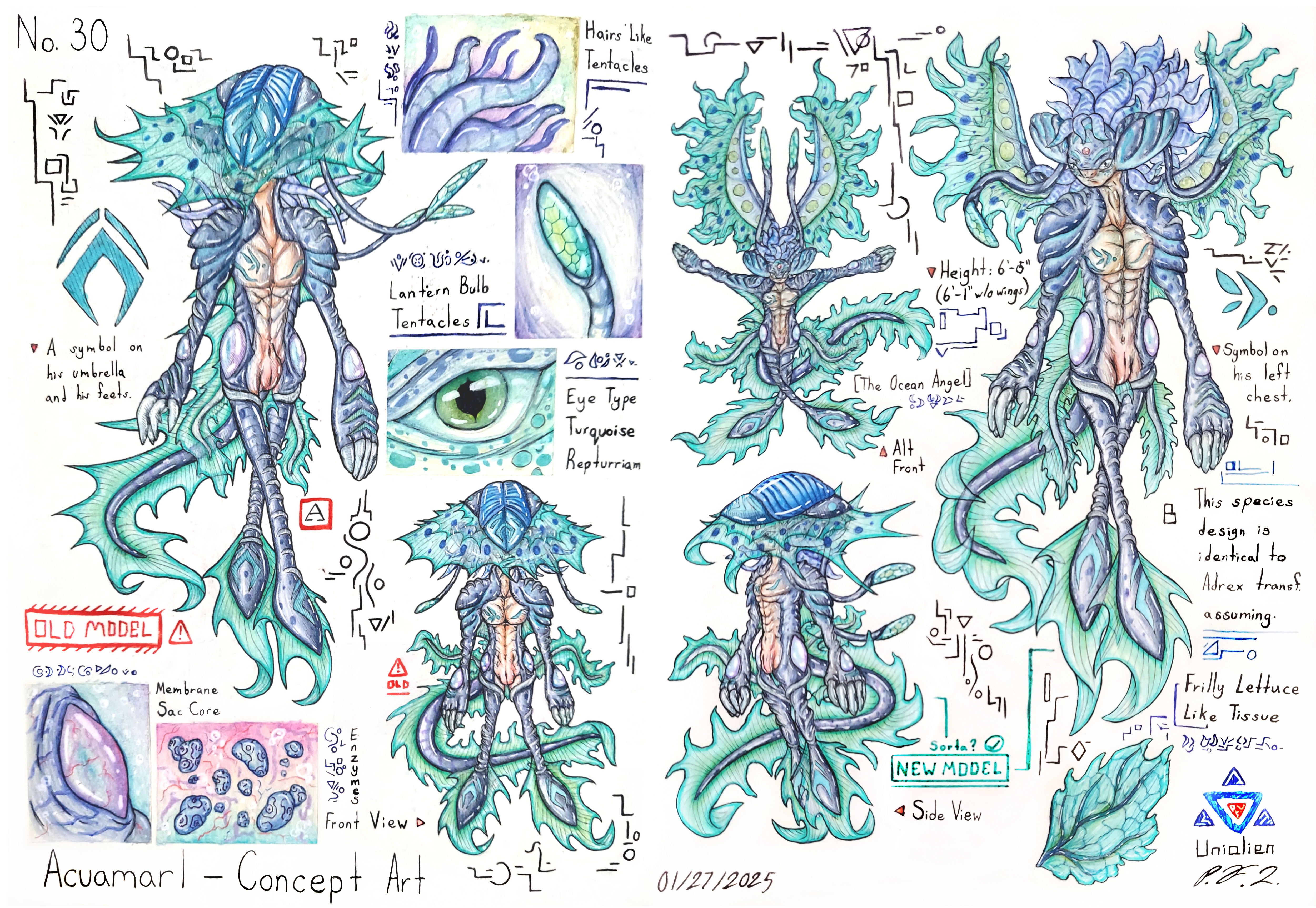 Acuamarl Concept Art