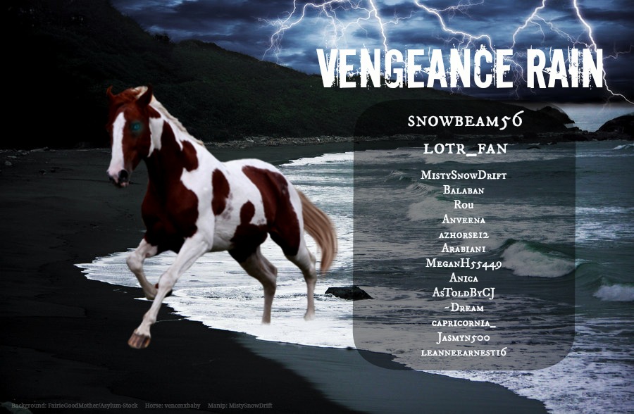 Vengeance Rain Team Banner