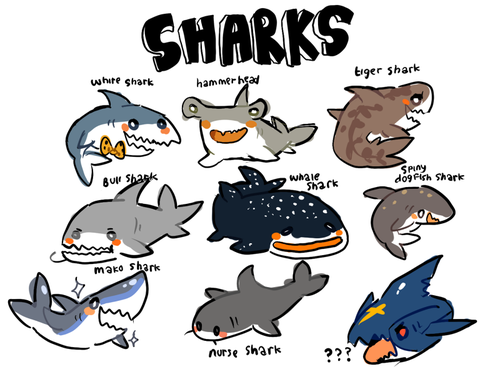 Sharks are precious cinnamon rolls too pure