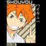 Shouyou Hinata 1 D