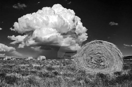 Thunderheads Over Alberta