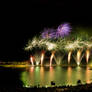 Fireworks I