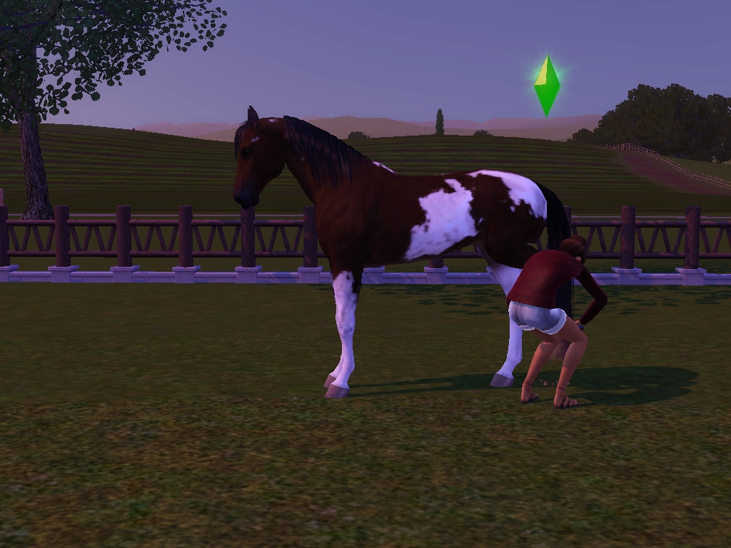 sims 3 pets horse