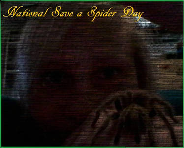 National Save a Spider Day