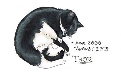 Remember Thor