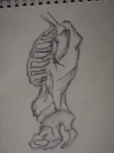 Rib Cage by AleksyLorraine on DeviantArt
