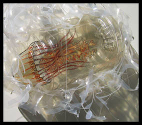 'Jellyfish Bottle' 2009