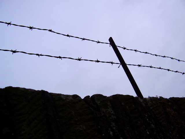 barbed wire fence