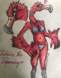 Felicia the Flamingo (Possible OC)