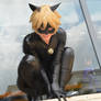 Chat Noir cosplay