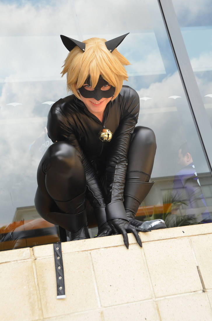 Chat noir cosplay  Cat noir costume, Best cosplay, Noir