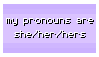 She Pronouns Stamp