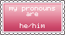 HE Pronouns Stamp (pink)
