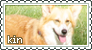 Dogkin Stamp 02 (Corgi)