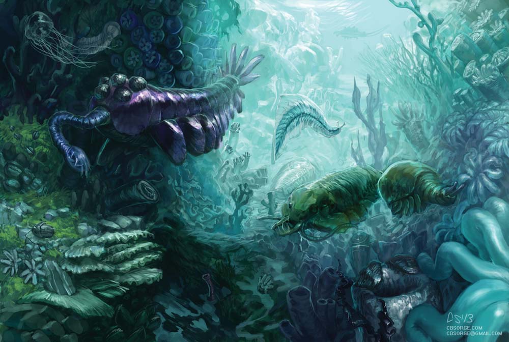 Cambrian Reef