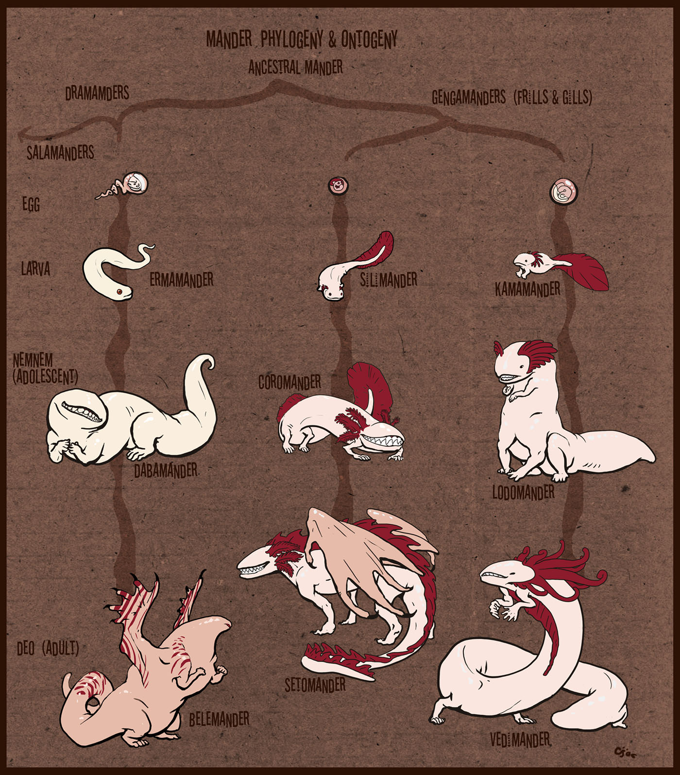 Mander Phylogeny+Ontongeny