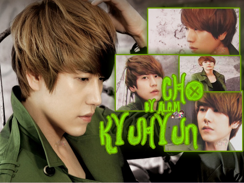 PERFECT KYUHYUN BY ALE,M