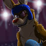 Boxing roo