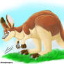 Kangaroo painting