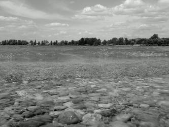 Stones in the water