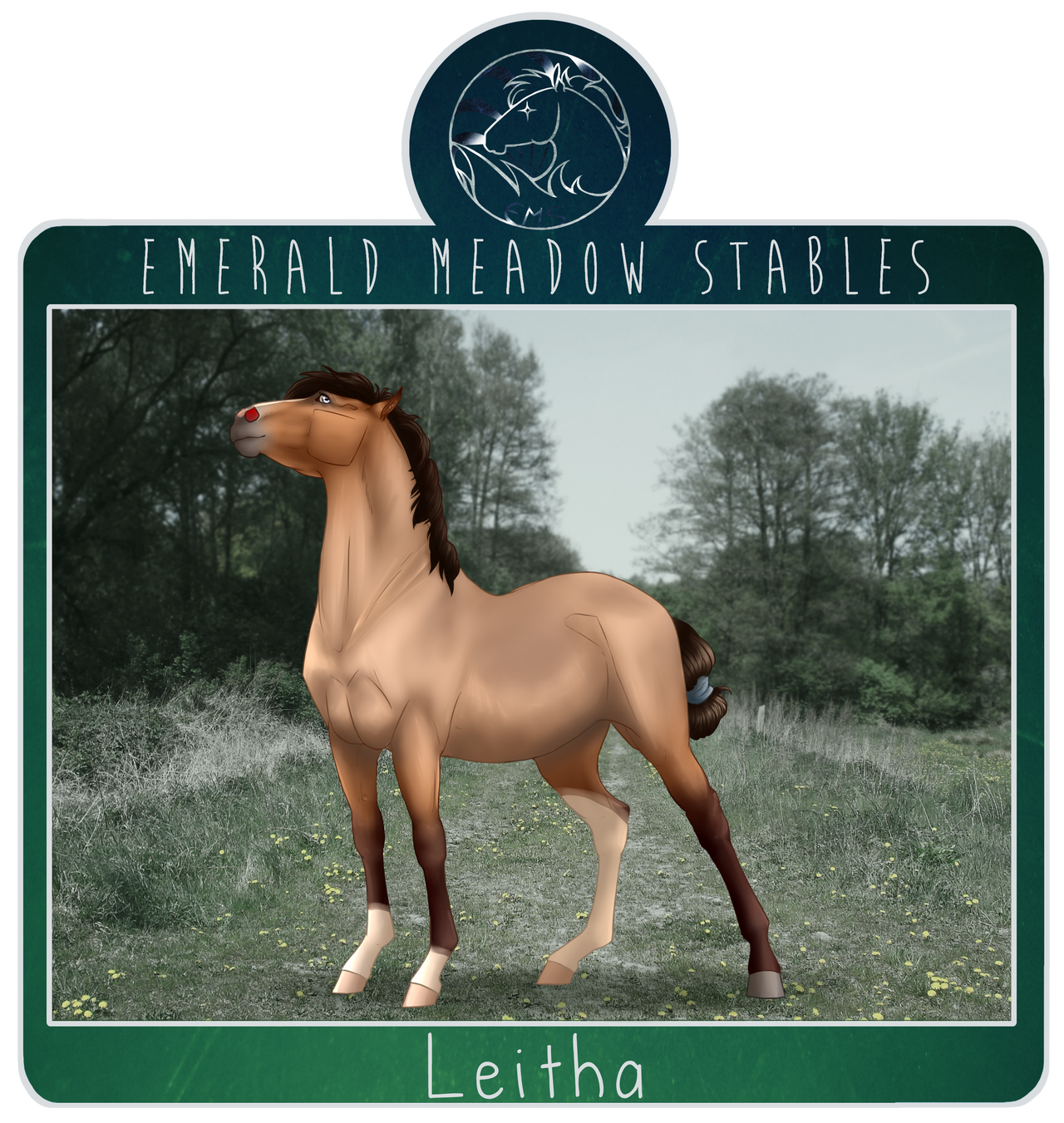 EMS Leitha