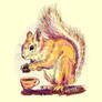 Coffee squirrel, July 3, 2023