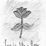 Love is like a Rose