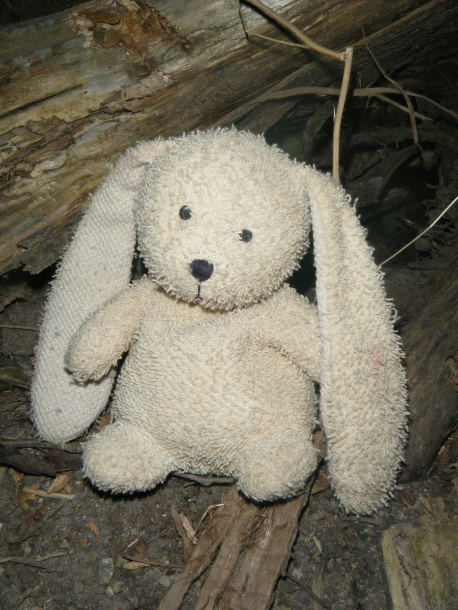 Mimzy the lop-eared Bunny by FairieShadows on DeviantArt