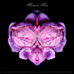 flower fae 71