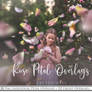 ROSE PETAL Overlays