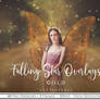GOLD STARS OVERLAY SAMPLER By All Things Precious