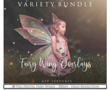 VARIETY FAIRY WING OVERLAYS 1 By ATP Textures