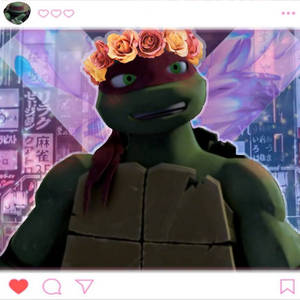 Raphael edit