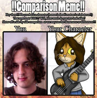 Comparison Meme