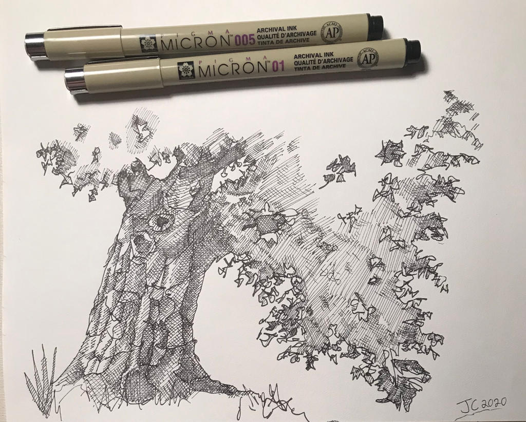 Crosshatch Tree Study by CrossOnline on DeviantArt