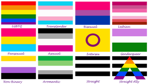 Which Flag identifies you?