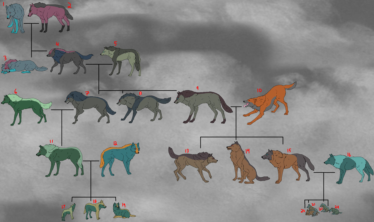 5 Wolves Transformers Transformers Wolves Family tree adopt 2 by Mystic-Boris on DeviantArt