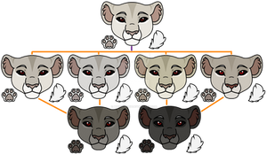 Family Adopt 1 (On hold)