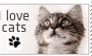 I love Cats - Stamp