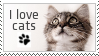 I love Cats - Stamp