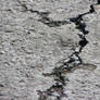 Crack in Pavement