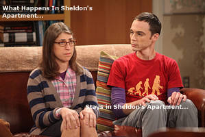 What Happens In Sheldon's Apartment...