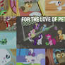 Love Of Pets