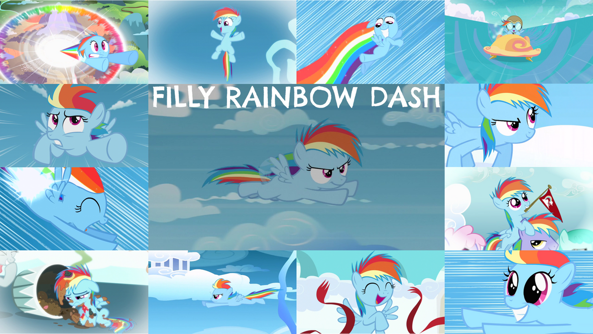 Filly Rainbow Dash Wallpaper
