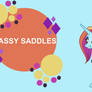 Sassy Saddles Board