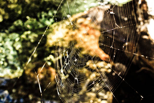 web