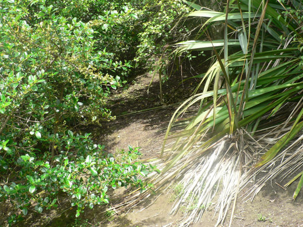 Endless Pathway By Tessa P by Picturexvampire on DeviantArt