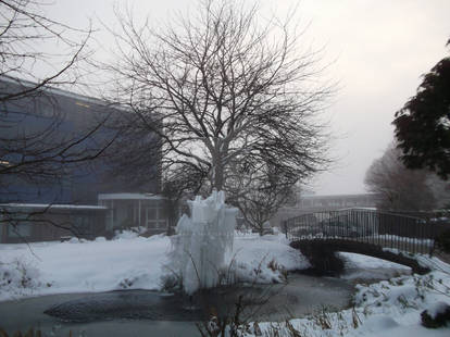 Snowy School Grounds