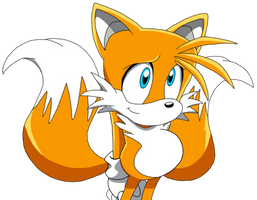 Tails Big Round Belly