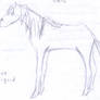 Horsey Sketch